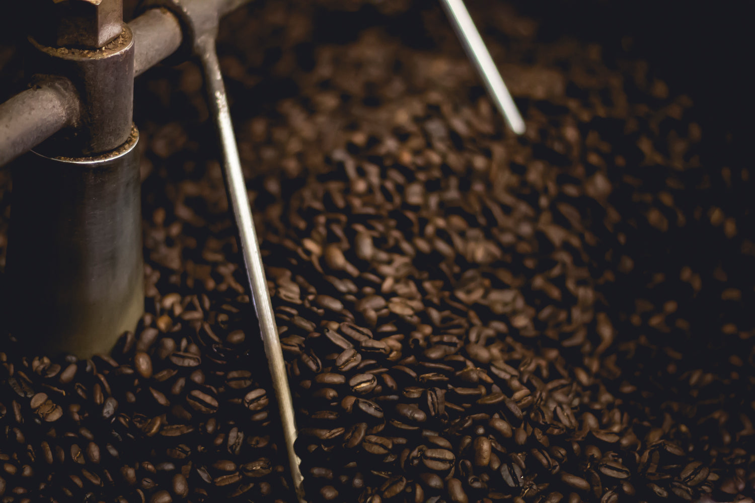 Close-up of freshly roasted coffee beans inside a roasting machine with metal arms